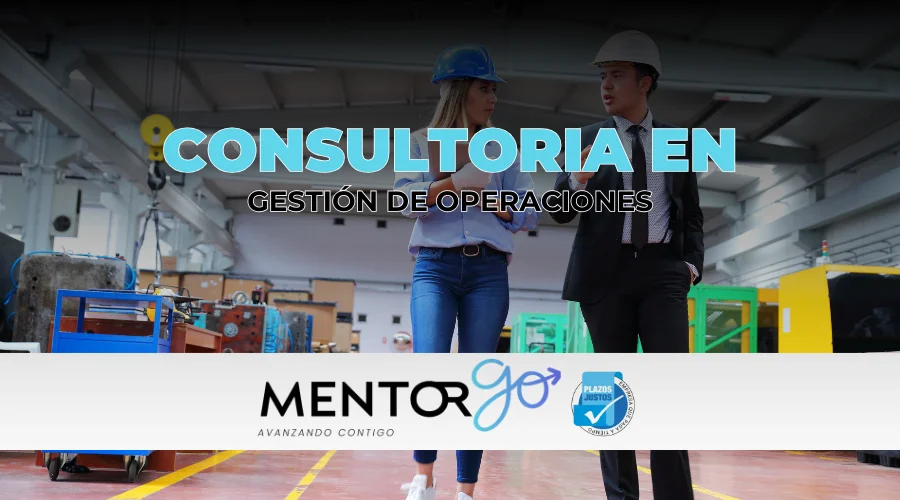 Consultoría en gestión de operaciones para empresas